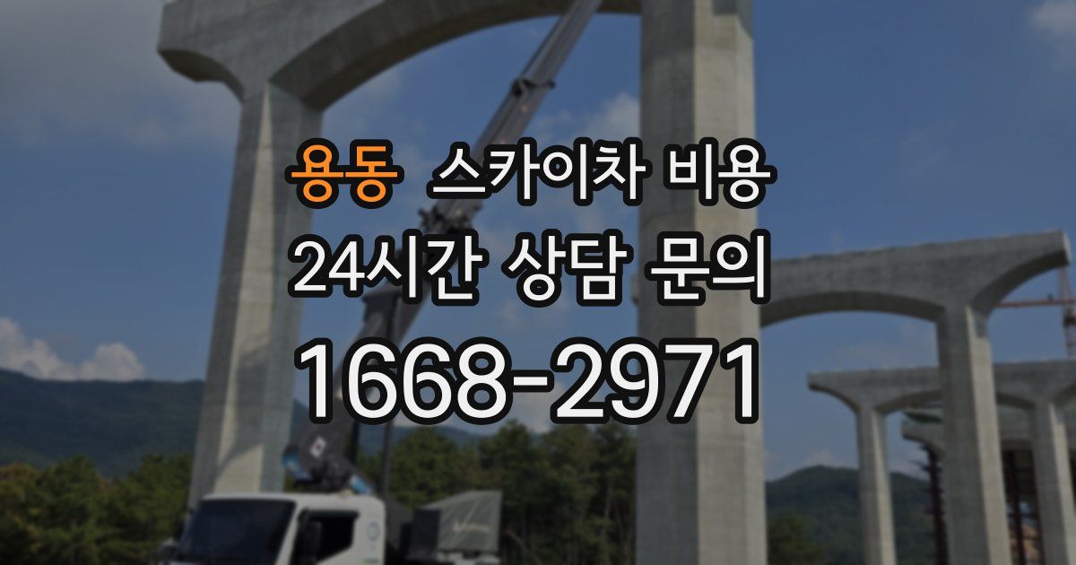 용동 스카이차 비용