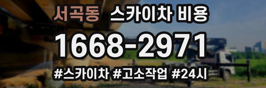 서곡동 스카이차 비용