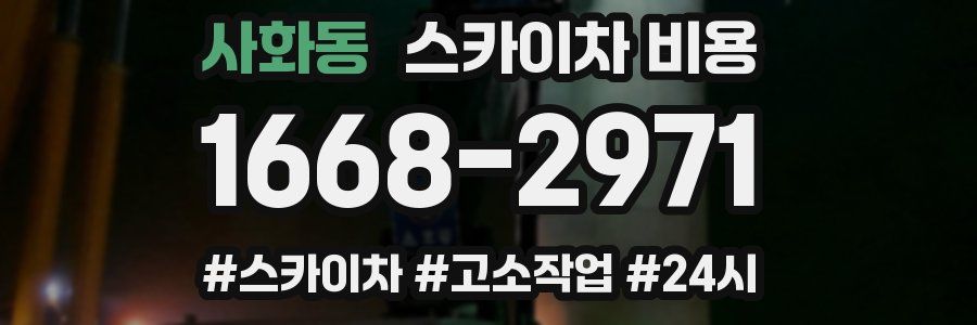 사화동 스카이차 비용