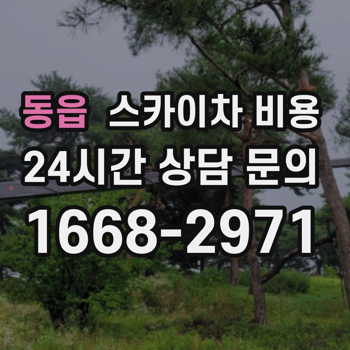 동읍 스카이차 비용