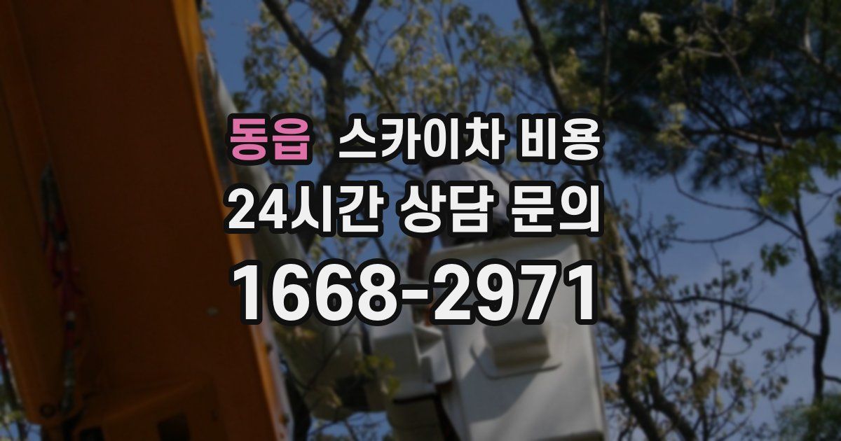 동읍 스카이차 비용