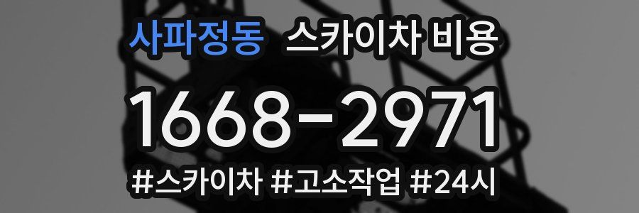 사파정동 스카이차 비용