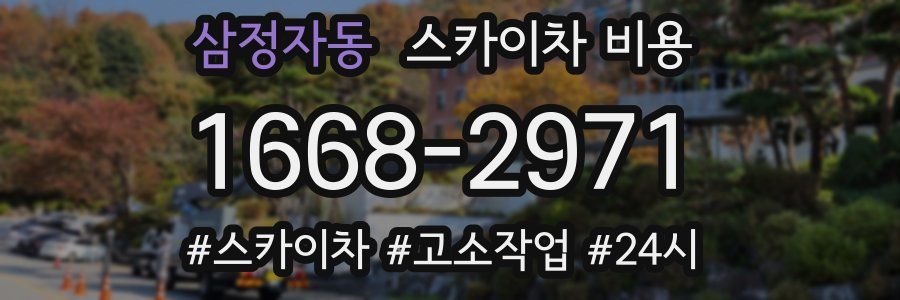 삼정자동 스카이차 비용