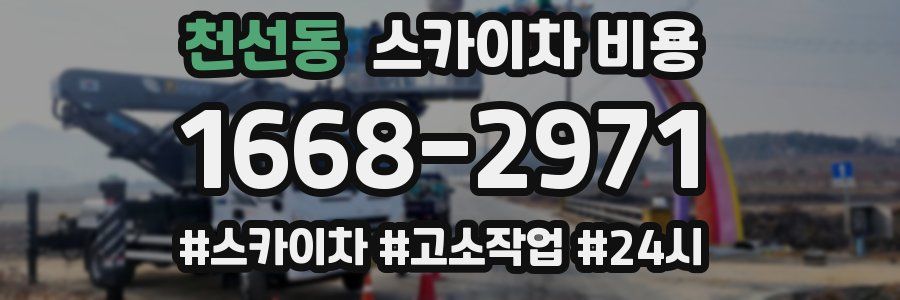 천선동 스카이차 비용