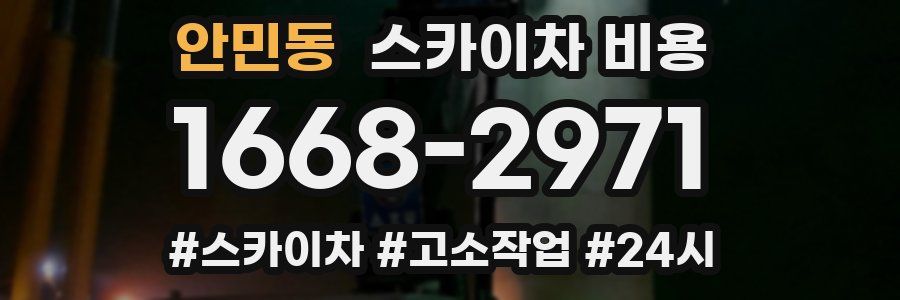 안민동 스카이차 비용