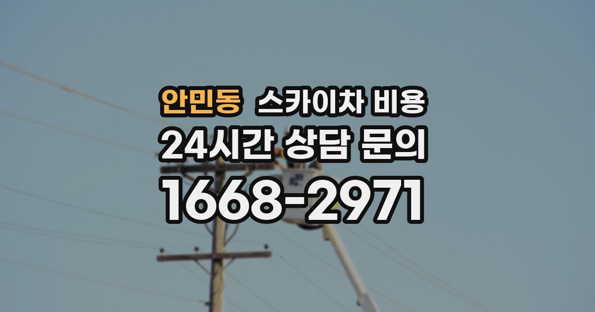 안민동 스카이차 비용