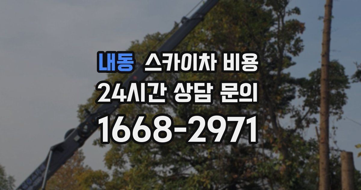 내동 스카이차 비용