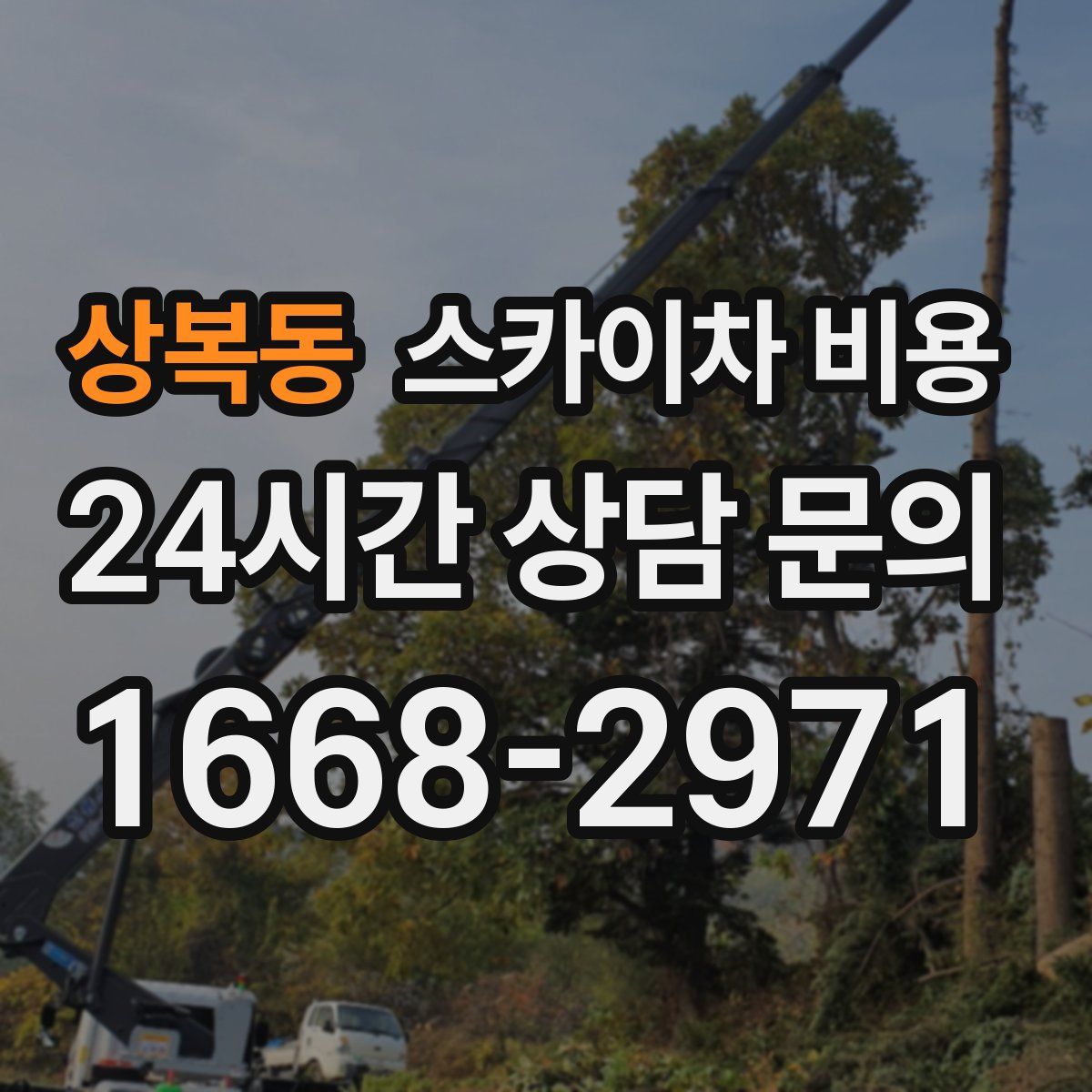 상복동 스카이차 비용