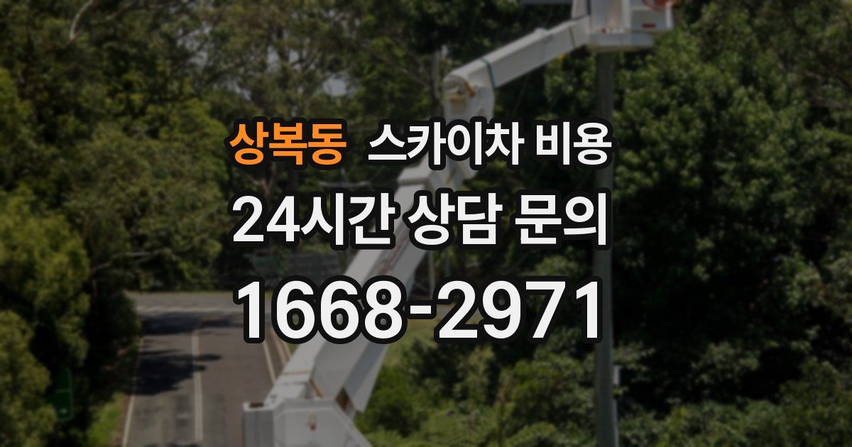 상복동 스카이차 비용