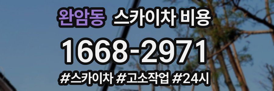 완암동 스카이차 비용