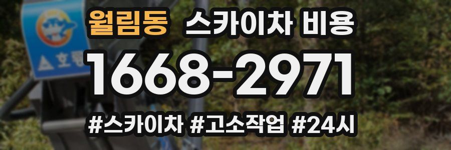 월림동 스카이차 비용