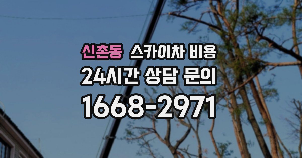 신촌동 스카이차 비용