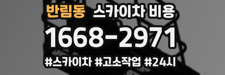 반림동 스카이차 비용