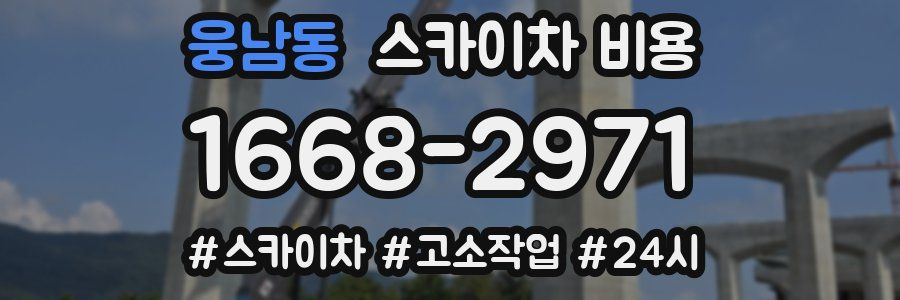 웅남동 스카이차 비용