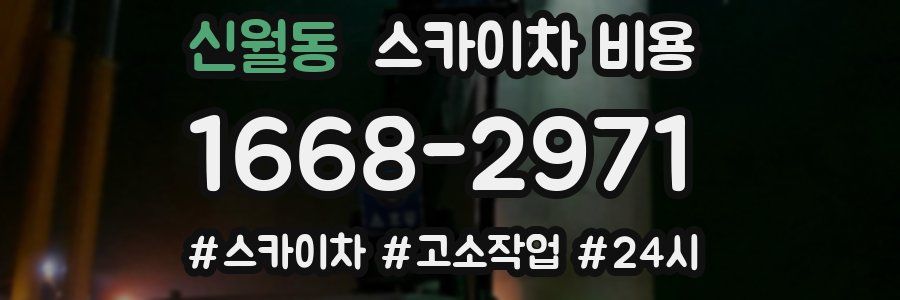 신월동 스카이차 비용