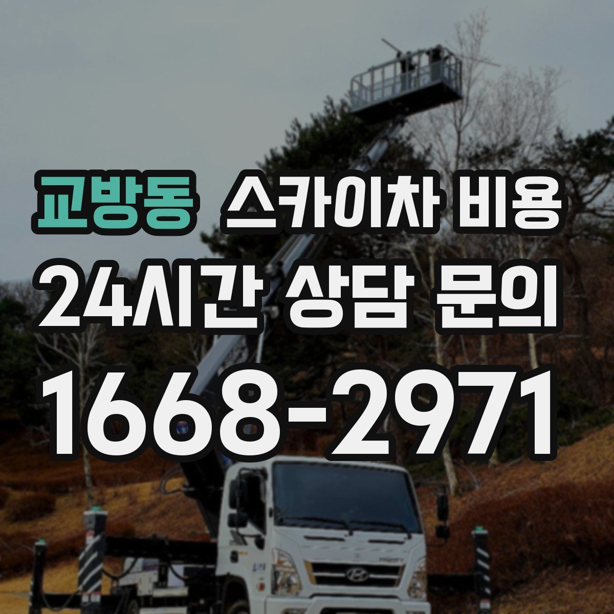 교방동 스카이차 비용