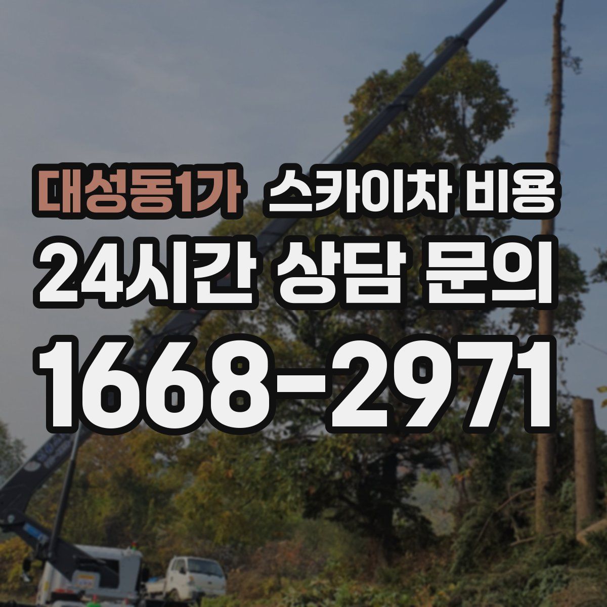 대성동1가 스카이차 비용