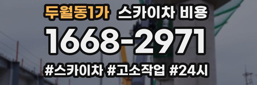 두월동1가 스카이차 비용