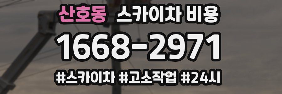 산호동 스카이차 비용