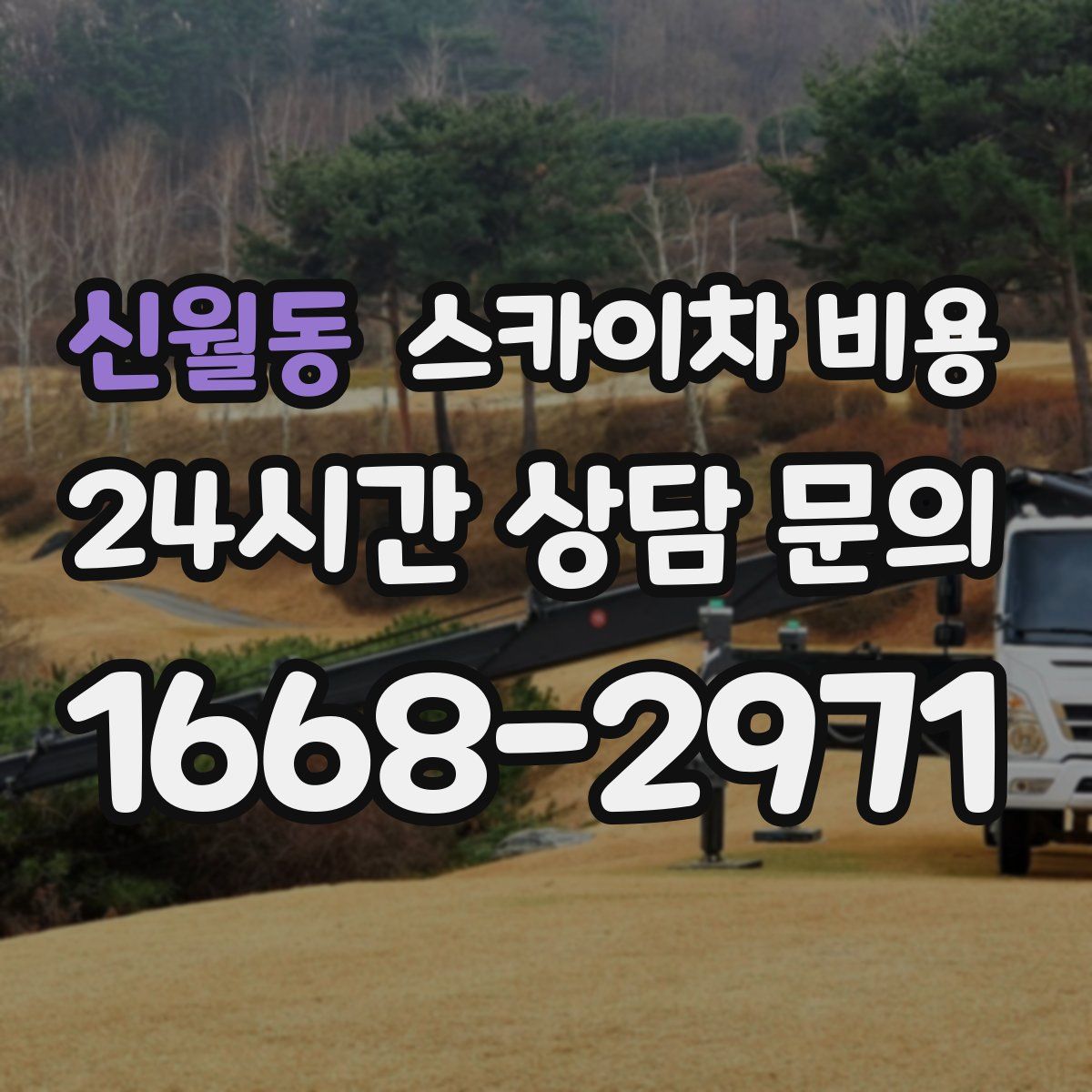 신월동 스카이차 비용