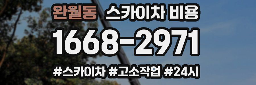 완월동 스카이차 비용