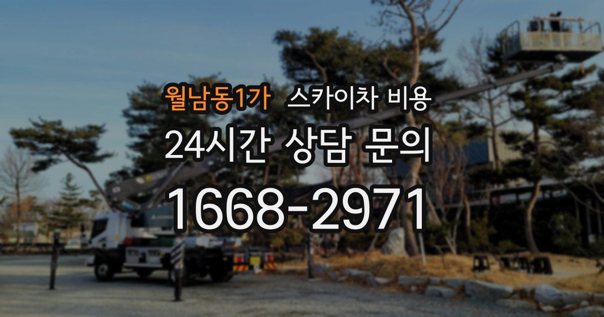 월남동1가 스카이차 비용