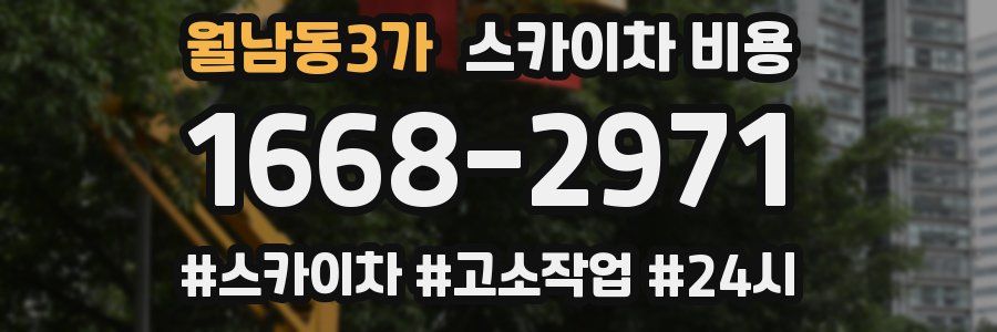 월남동3가 스카이차 비용