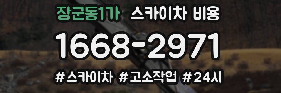 장군동1가 스카이차 비용