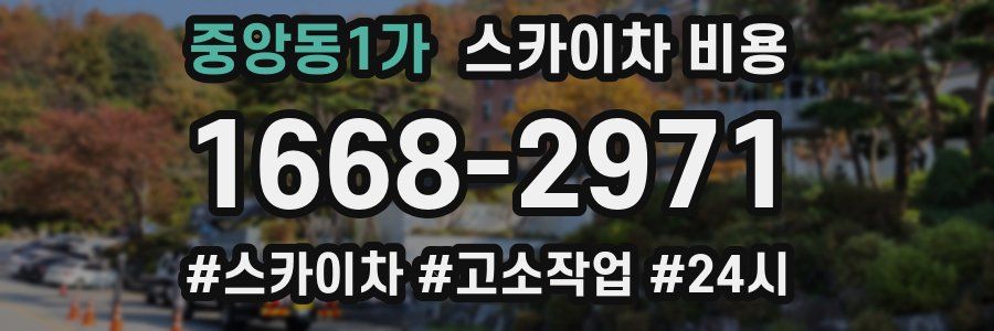 중앙동1가 스카이차 비용