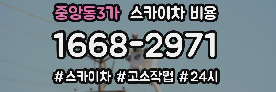 중앙동3가 스카이차 비용