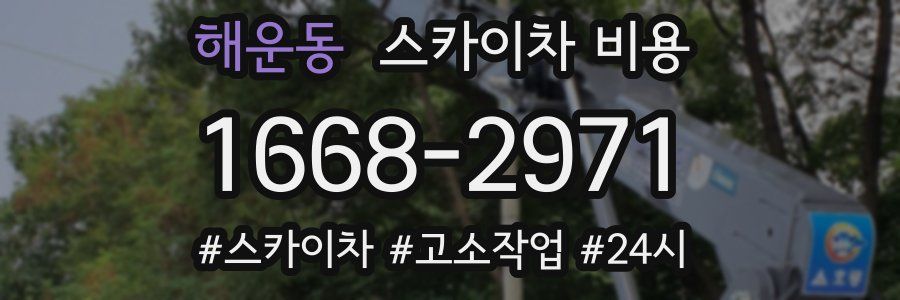 해운동 스카이차 비용