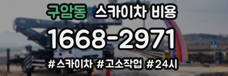 구암동 스카이차 비용