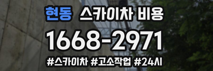 현동 스카이차 비용