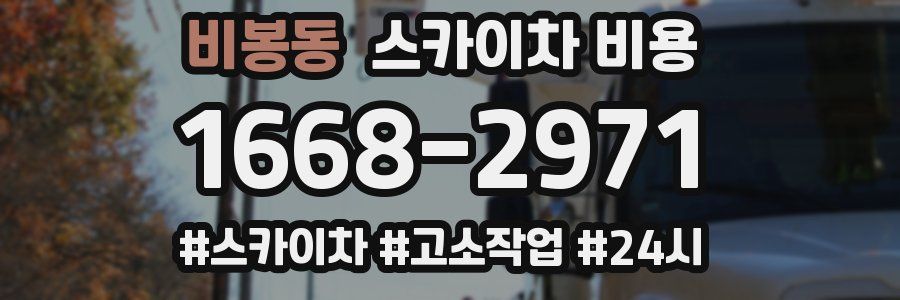 비봉동 스카이차 비용