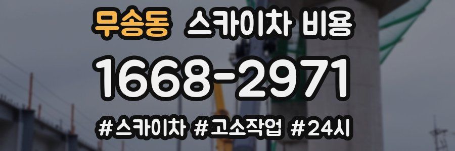 무송동 스카이차 비용