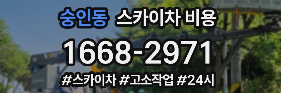 숭인동 스카이차 비용