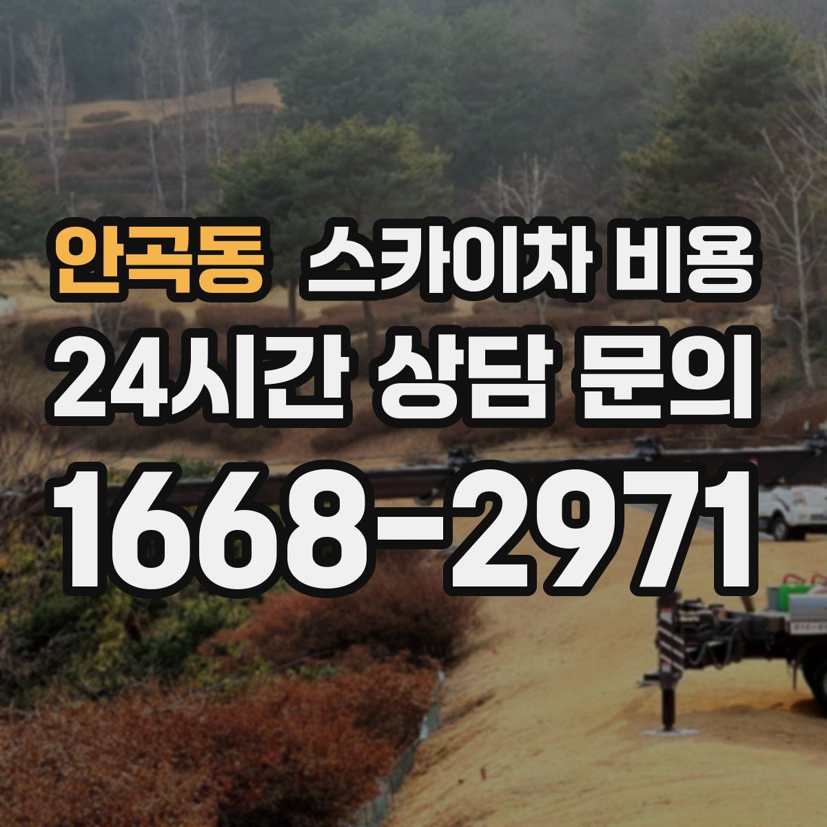 안곡동 스카이차 비용