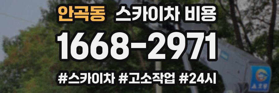 안곡동 스카이차 비용