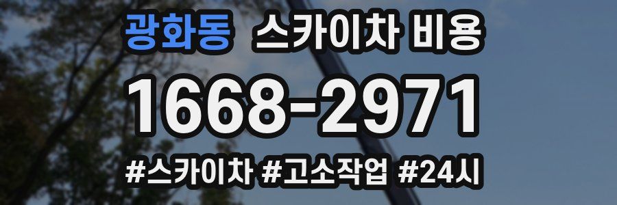 광화동 스카이차 비용