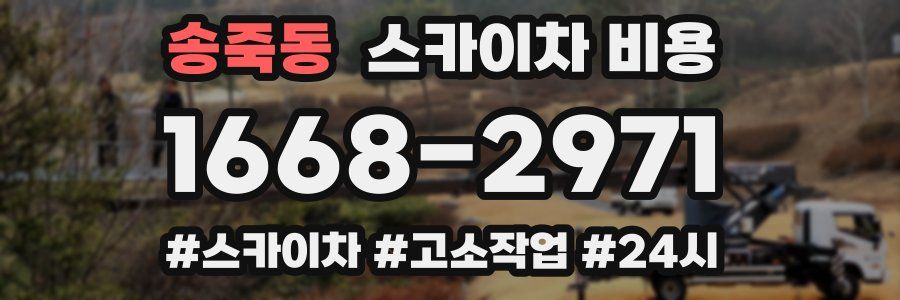 송죽동 스카이차 비용