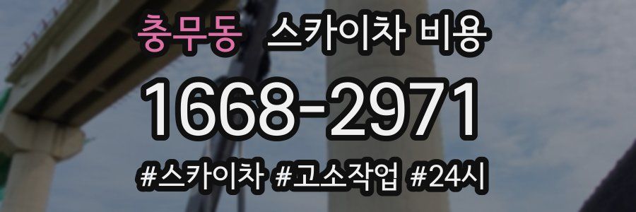 충무동 스카이차 비용