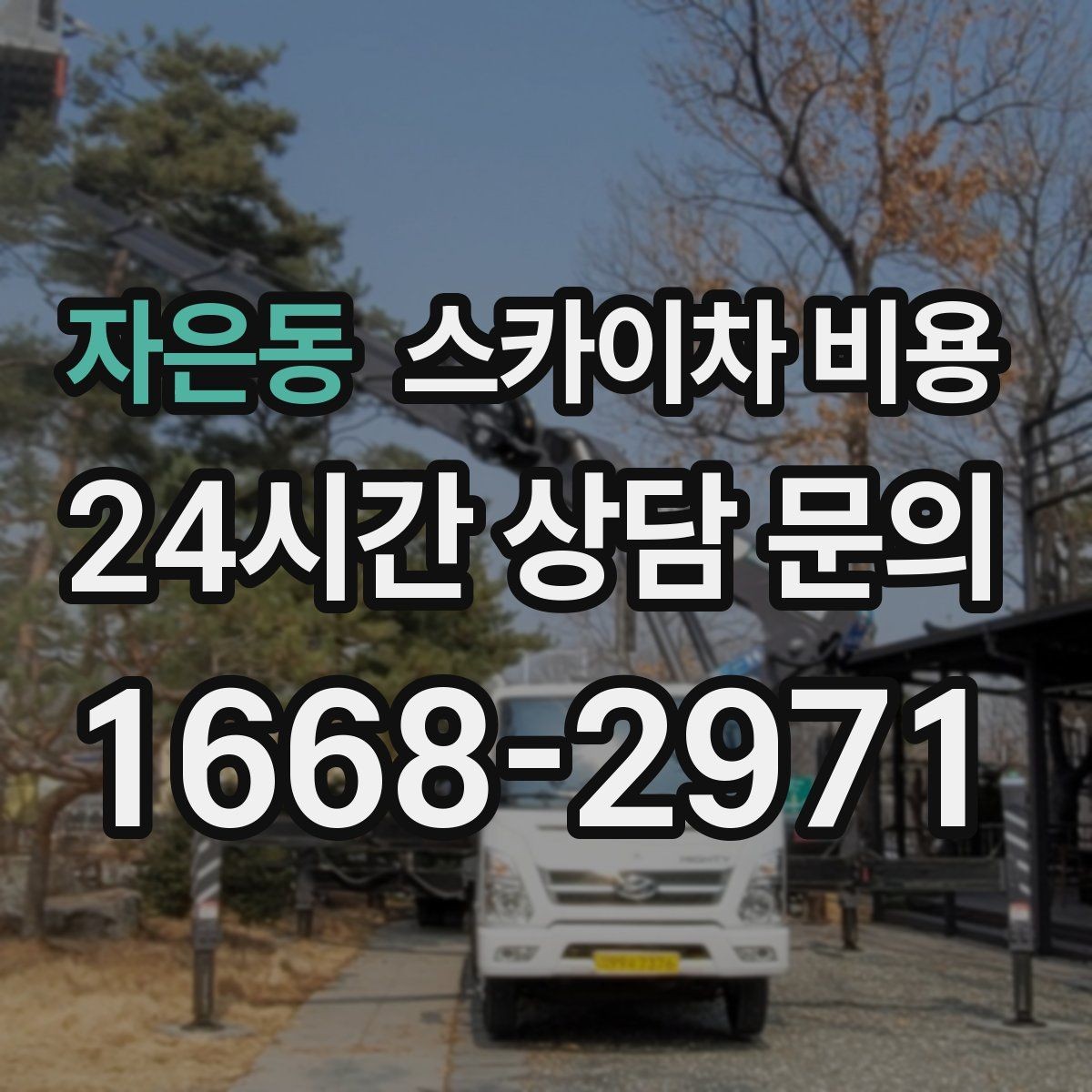 자은동 스카이차 비용 문의 전에 이것만 정리해도 충분합니다