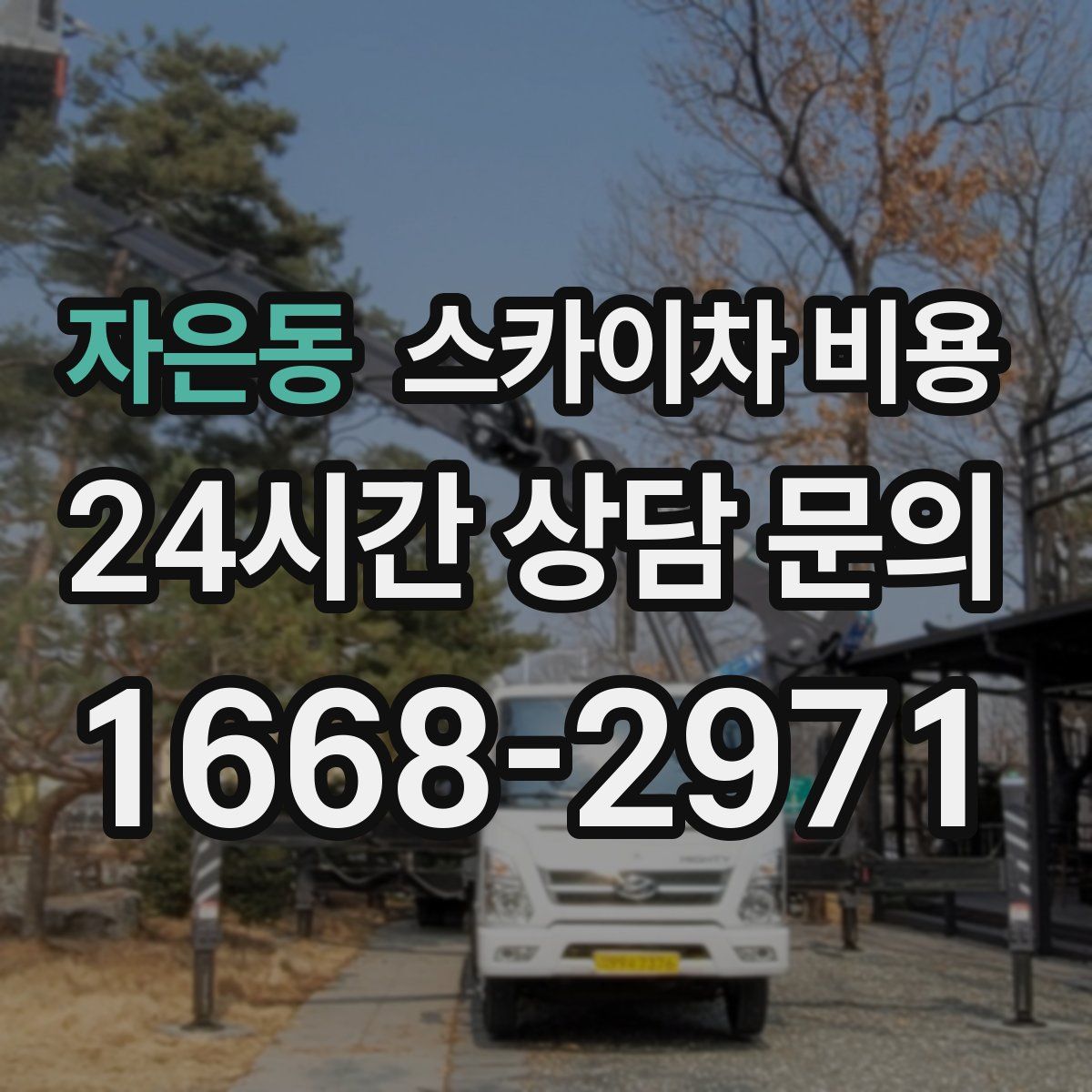 자은동 스카이차 비용