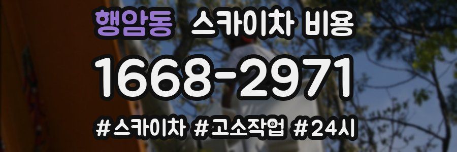 행암동 스카이차 비용