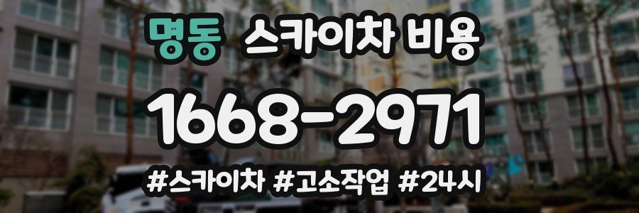 명동 스카이차 비용