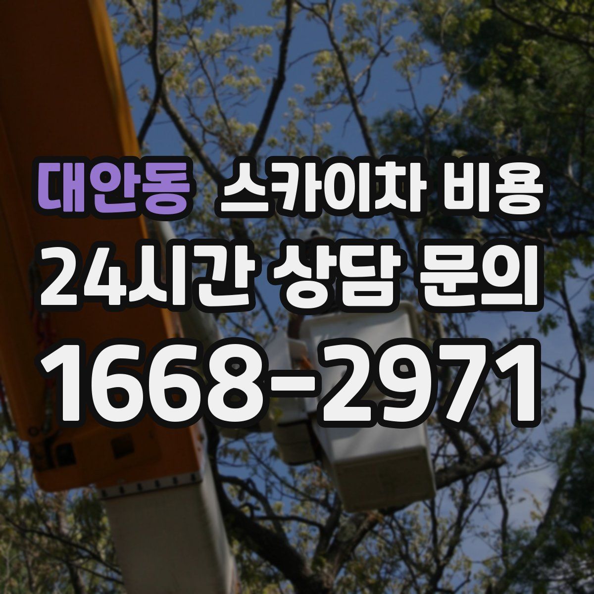 대안동 스카이차 비용