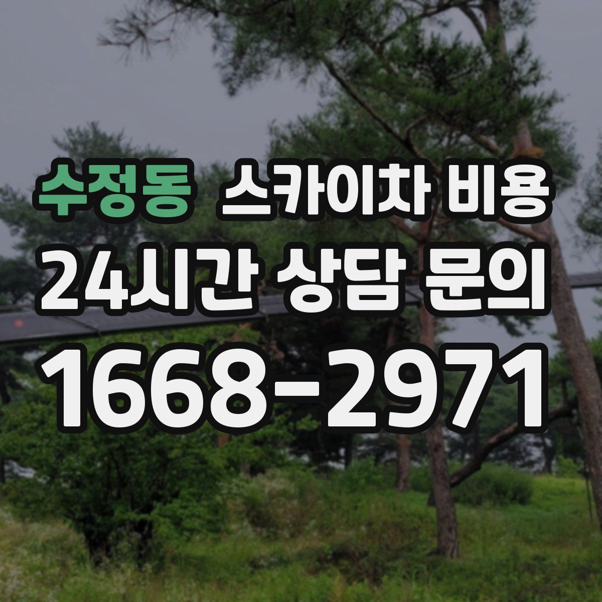 수정동 스카이차 비용