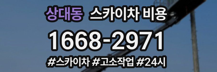 상대동 스카이차 비용