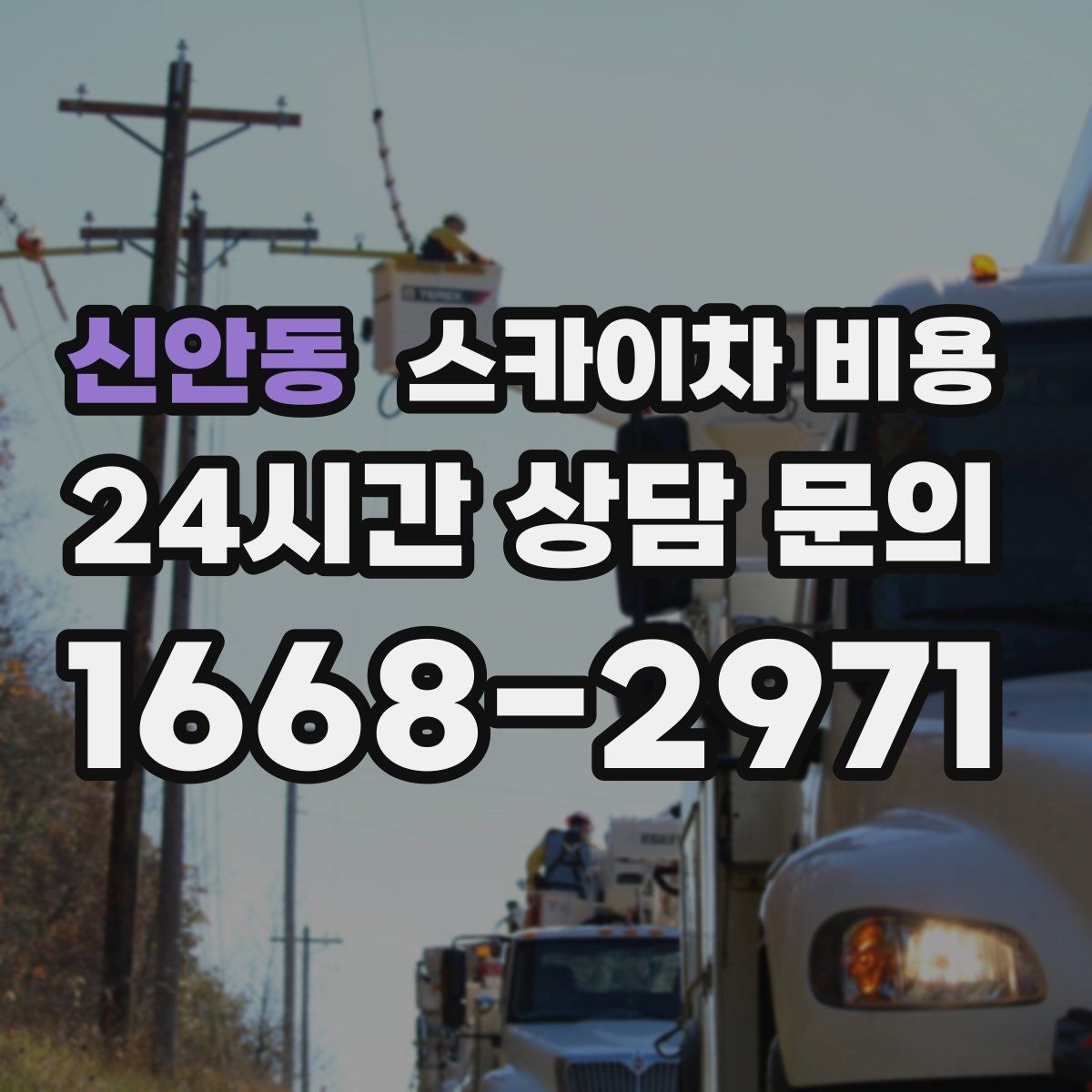 신안동 스카이차 비용