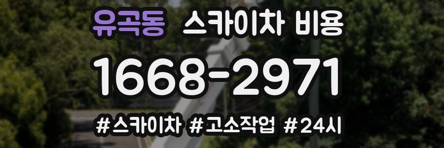 유곡동 스카이차 비용